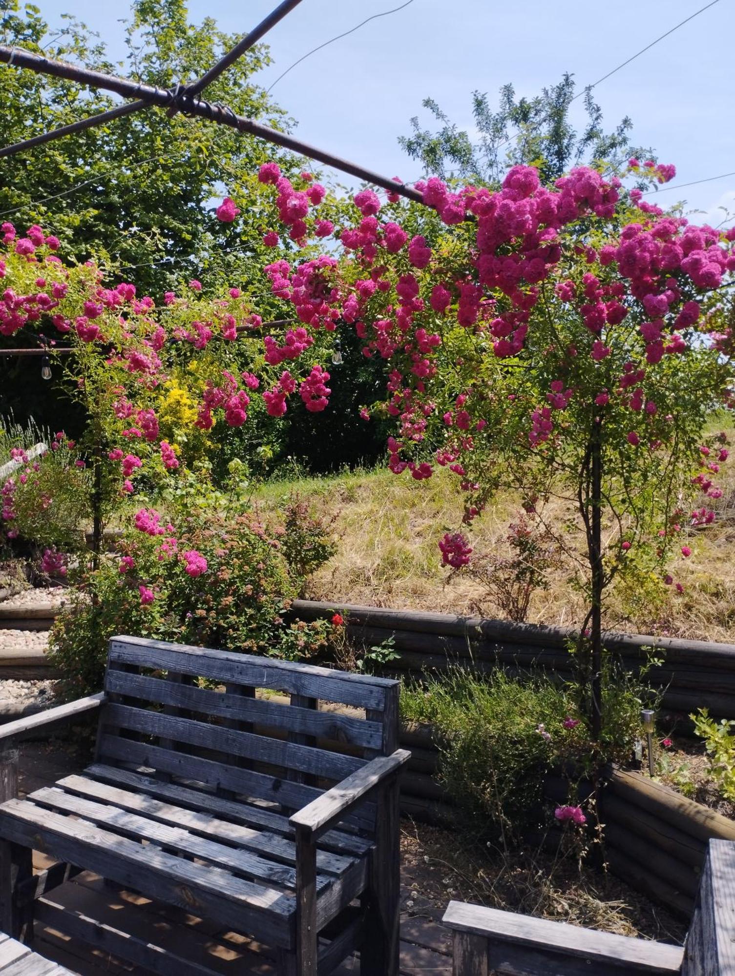 Fenetre Sur Loire Bed & Breakfast Iguerande Bagian luar foto