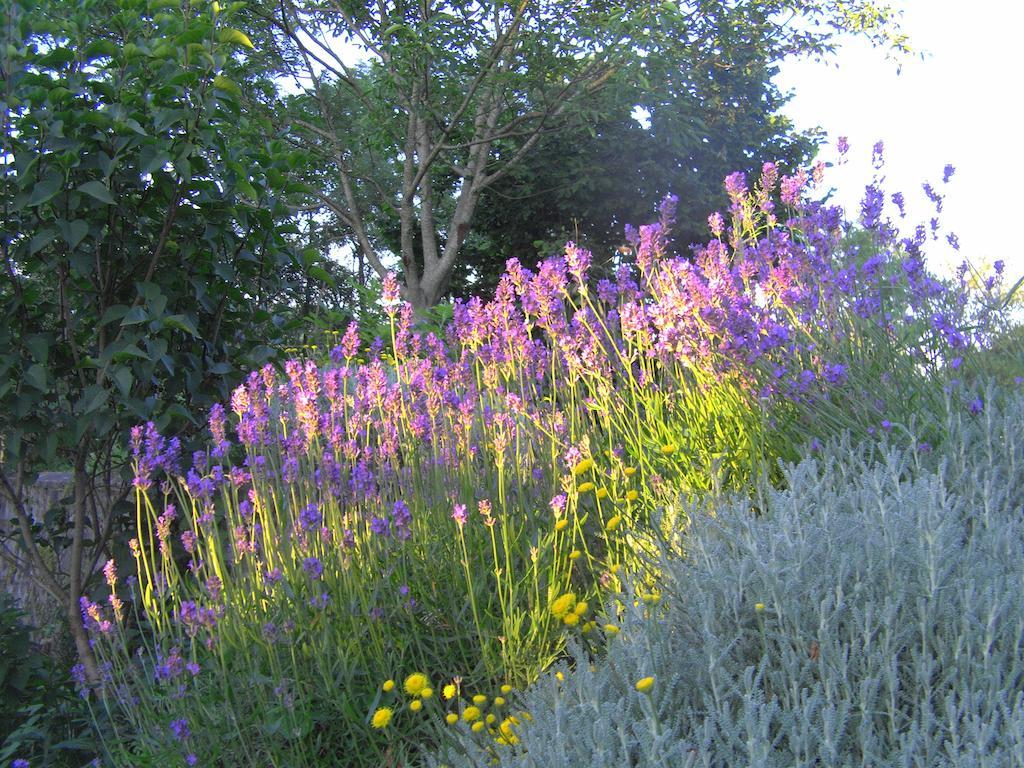 Fenetre Sur Loire Bed & Breakfast Iguerande Bagian luar foto
