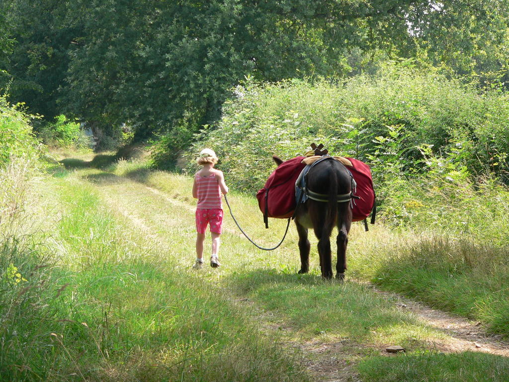 Fenetre Sur Loire Bed & Breakfast Iguerande Bagian luar foto