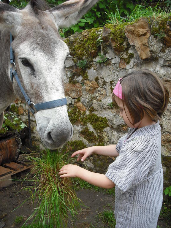 Fenetre Sur Loire Bed & Breakfast Iguerande Bagian luar foto