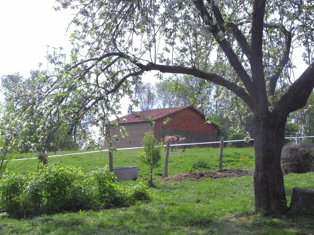 Fenetre Sur Loire Bed & Breakfast Iguerande Bagian luar foto